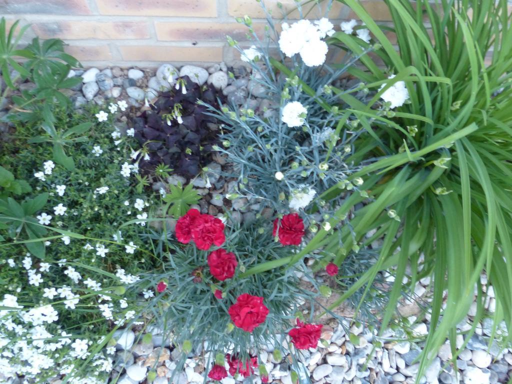 La Flore De Lys, Cottage Ideal Pour 2 Adultes Et 2 Enfants Saint-Jouin-Bruneval ห้อง รูปภาพ