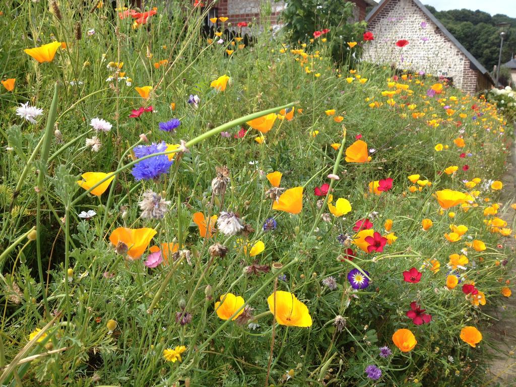 La Flore De Lys, Cottage Ideal Pour 2 Adultes Et 2 Enfants Saint-Jouin-Bruneval ภายนอก รูปภาพ
